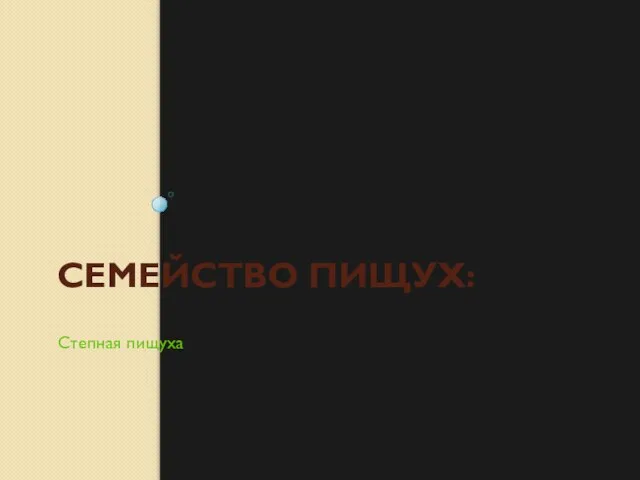 СЕМЕЙСТВО ПИЩУХ: Степная пищуха.