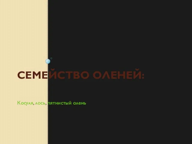 СЕМЕЙСТВО ОЛЕНЕЙ: Косуля, лось, пятнистый олень.