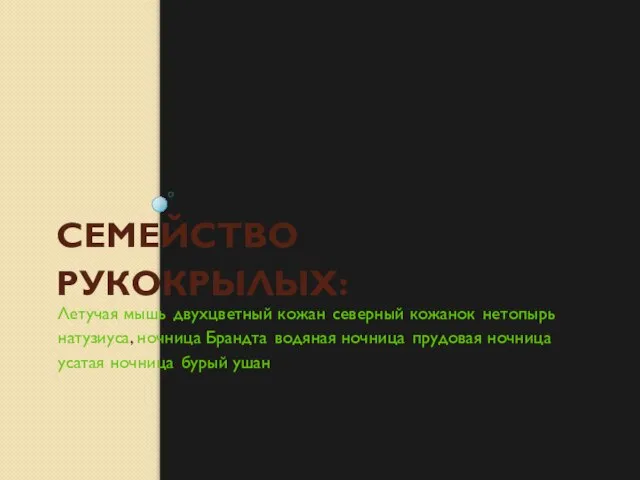 СЕМЕЙСТВО РУКОКРЫЛЫХ: Летучая мышь, двухцветный кожан, северный кожанок, нетопырь натузиуса, ночница