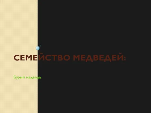 СЕМЕЙСТВО МЕДВЕДЕЙ: Бурый медведь.