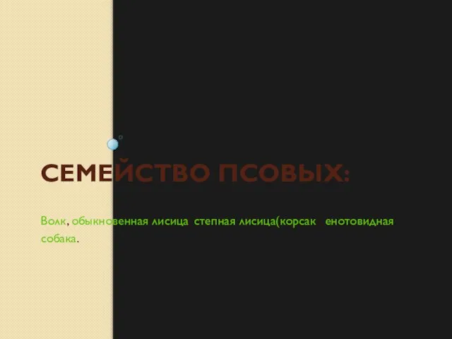 СЕМЕЙСТВО ПСОВЫХ: Волк, обыкновенная лисица, степная лисица(корсак), енотовидная собака.