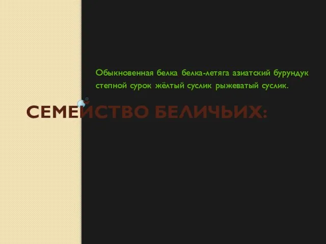 СЕМЕЙСТВО БЕЛИЧЬИХ: Обыкновенная белка, белка-летяга, азиатский бурундук, степной сурок, жёлтый суслик, рыжеватый суслик.