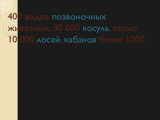 400 видов позвоночных животных, 30 000 косуль, около 10 000 лосей, кабанов более 1000.