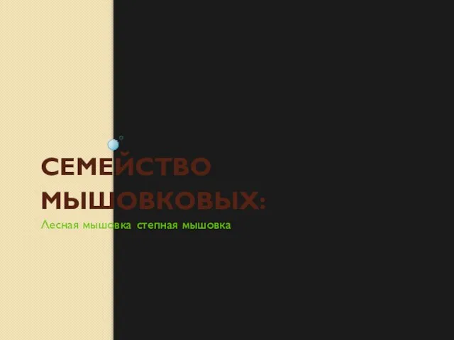 СЕМЕЙСТВО МЫШОВКОВЫХ: Лесная мышовка, степная мышовка.