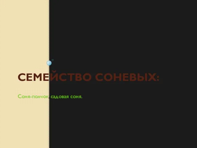 СЕМЕЙСТВО СОНЕВЫХ: Соня-полчок, садовая соня.