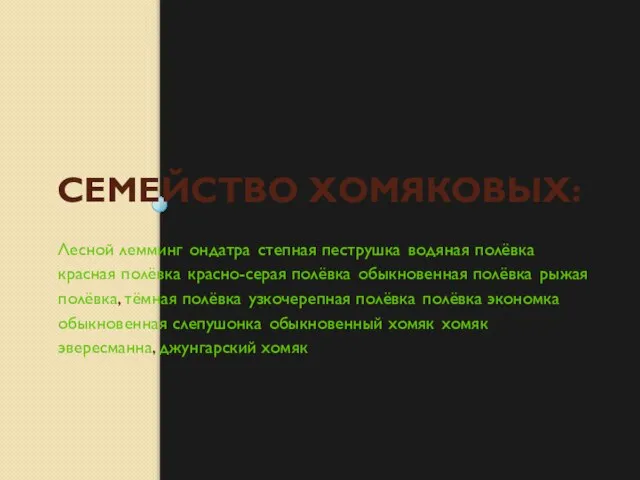 СЕМЕЙСТВО ХОМЯКОВЫХ: Лесной лемминг, ондатра, степная пеструшка, водяная полёвка, красная полёвка,