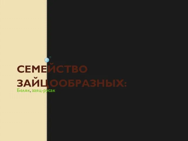 СЕМЕЙСТВО ЗАЙЦООБРАЗНЫХ: Беляк, заяц-русак.