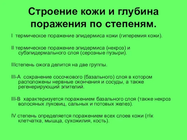 Строение кожи и глубина поражения по степеням. I термическое поражение эпидермиса