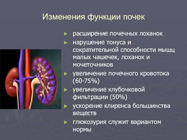 Изменения функции почек расширение почечных лоханок нарушение тонуса и сократительной способности