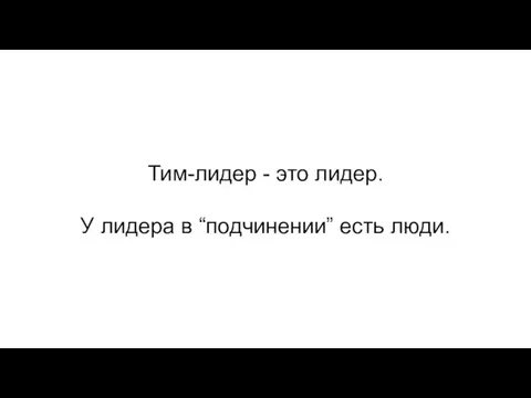 Тим-лидер - это лидер. У лидера в “подчинении” есть люди.