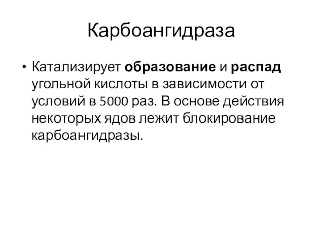 Карбоангидраза Катализирует образование и распад угольной кислоты в зависимости от условий