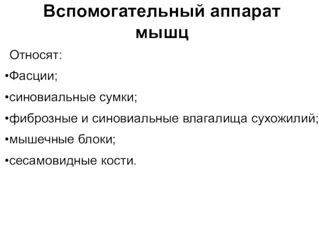 Вспомогательный аппарат мышц Относят: Фасции; синовиальные сумки; фиброзные и синовиальные влагалища сухожилий; мышечные блоки; сесамовидные кости.