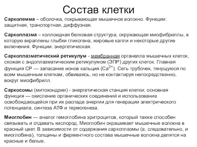 Состав клетки Сарколемма – оболочка, покрывающая мышечное волокно. Функции: защитная, транспортная,