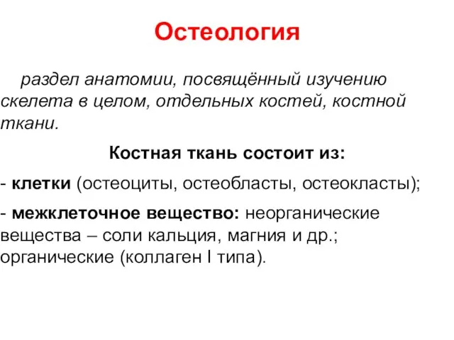 Остеология раздел анатомии, посвящённый изучению скелета в целом, отдельных костей, костной