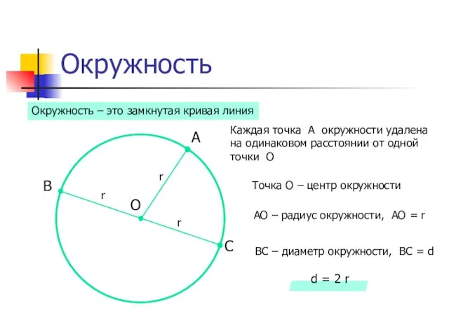 Окружность Каждая точка А окружности удалена на одинаковом расстоянии от одной