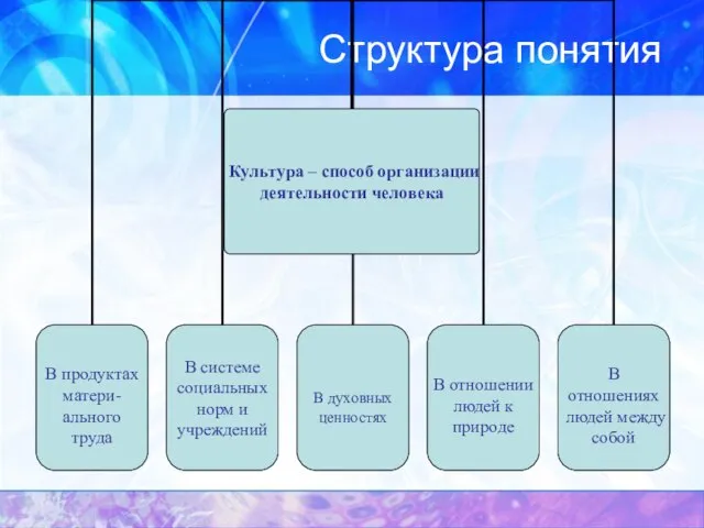 Структура понятия