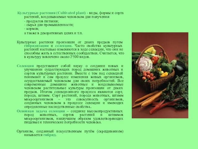 Культурные растения (Cultivated plant) - виды, формы и сорта растений, возделываемые