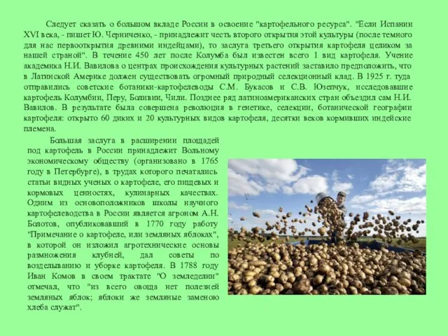 Следует сказать о большом вкладе России в освоение "картофельного ресурса". "Если