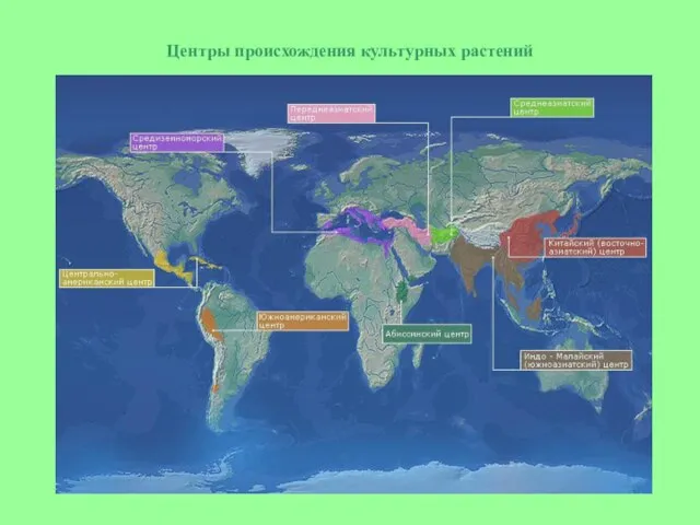 Центры происхождения культурных растений