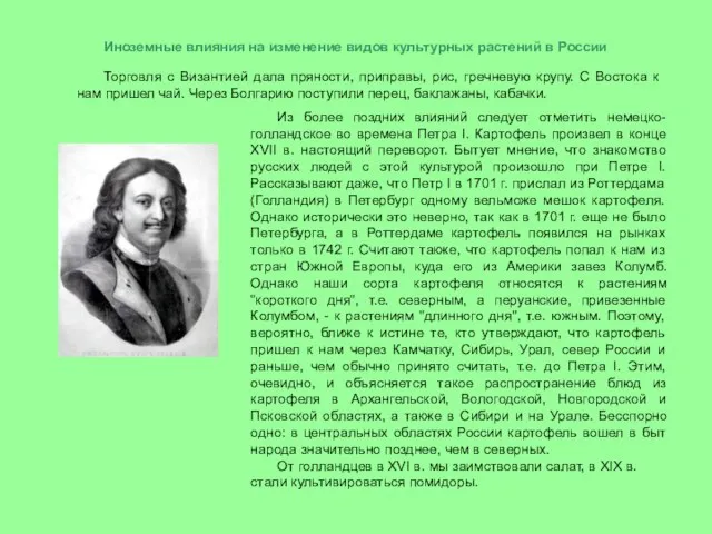 Иноземные влияния на изменение видов культурных растений в России Торговля с