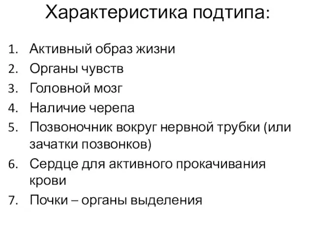 Характеристика подтипа: Активный образ жизни Органы чувств Головной мозг Наличие черепа