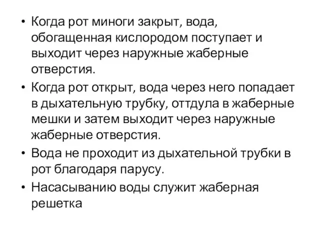 Когда рот миноги закрыт, вода, обогащенная кислородом поступает и выходит через