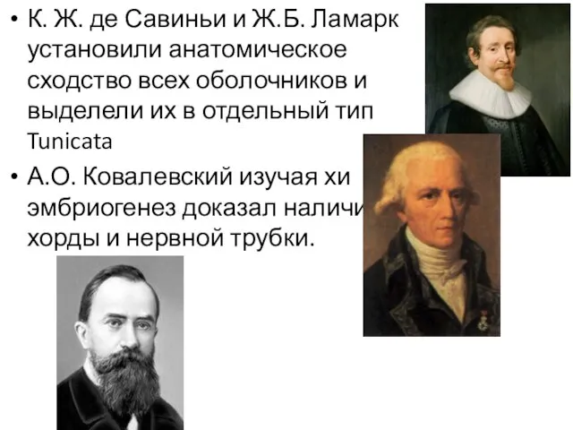 К. Ж. де Савиньи и Ж.Б. Ламарк установили анатомическое сходство всех