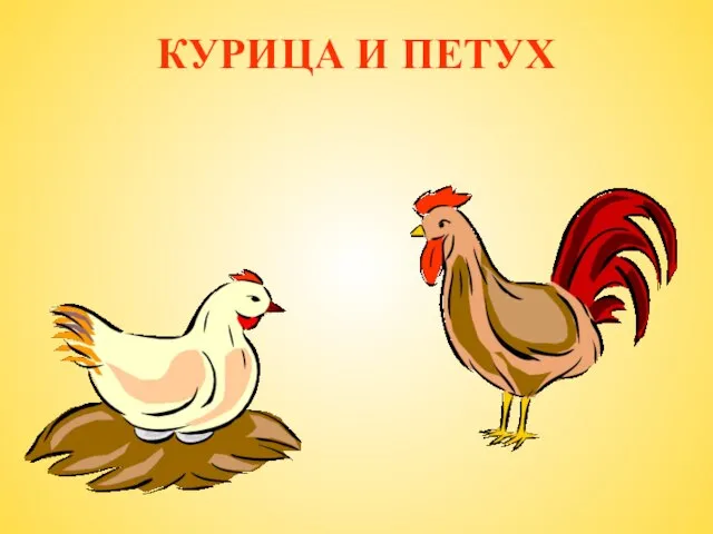 КУРИЦА И ПЕТУХ