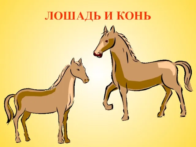 ЛОШАДЬ И КОНЬ