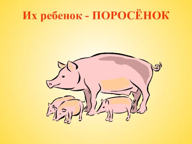 Их ребенок - ПОРОСЁНОК