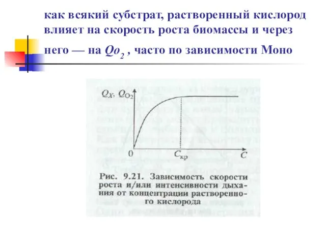 как всякий субстрат, растворенный кислород влияет на скорость роста биомассы и