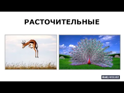 РАСТОЧИТЕЛЬНЫЕ