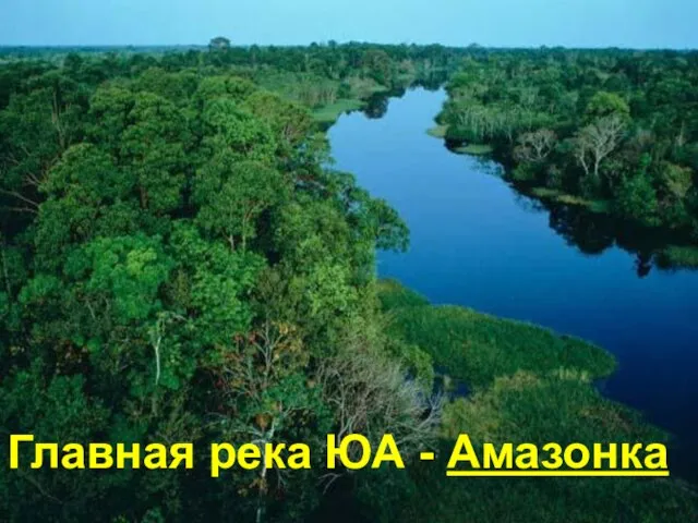 Главная река ЮА - Амазонка