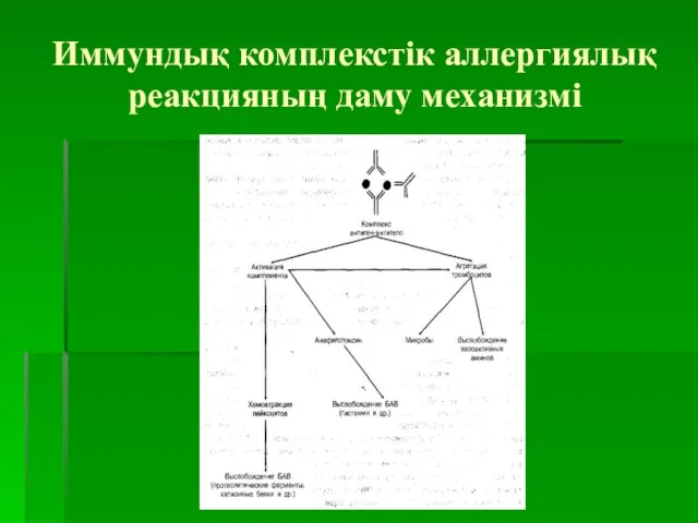 Иммундық комплекстік аллергиялық реакцияның даму механизмі