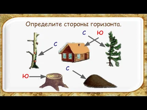 Определите стороны горизонта. Ю С С С Ю