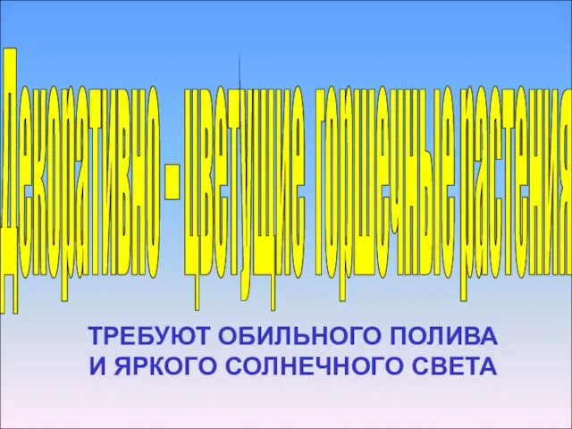 Декоративно – цветущие горшечные растения ТРЕБУЮТ ОБИЛЬНОГО ПОЛИВА И ЯРКОГО СОЛНЕЧНОГО СВЕТА