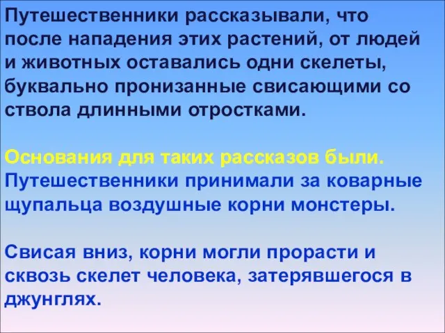 Путешественники рассказывали, что после нападения этих растений, от людей и животных