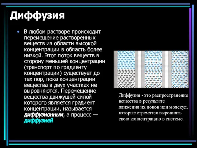 Диффузия В любом растворе происходит перемещение растворенных веществ из области высокой