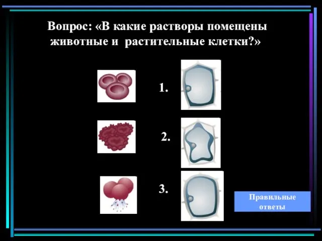 Вопрос: «В какие растворы помещены животные и растительные клетки?» 1. 2. 3. Правильные ответы