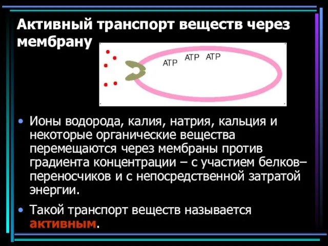 Активный транспорт веществ через мембрану Ионы водорода, калия, натрия, кальция и