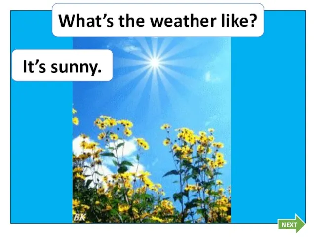 It’s sunny. What’s the weather like? NEXT