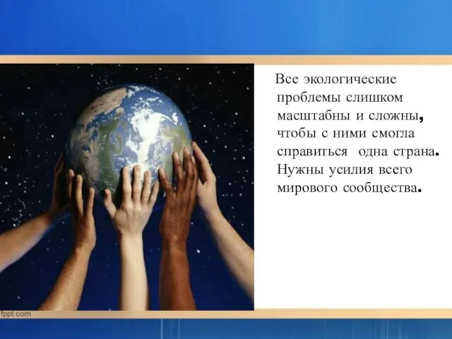 Все экологические проблемы слишком масштабны и сложны, чтобы с ними смогла