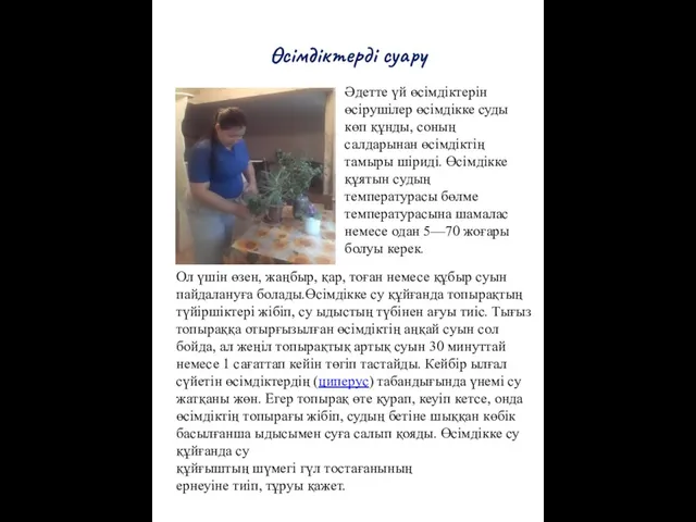 Өсімдіктерді суару Әдетте үй өсімдіктерін өсірушілер өсімдікке суды көп құнды, соның