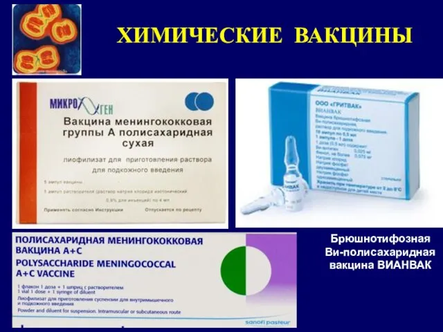 ХИМИЧЕСКИЕ ВАКЦИНЫ Брюшнотифозная Ви-полисахаридная вакцина ВИАНВАК