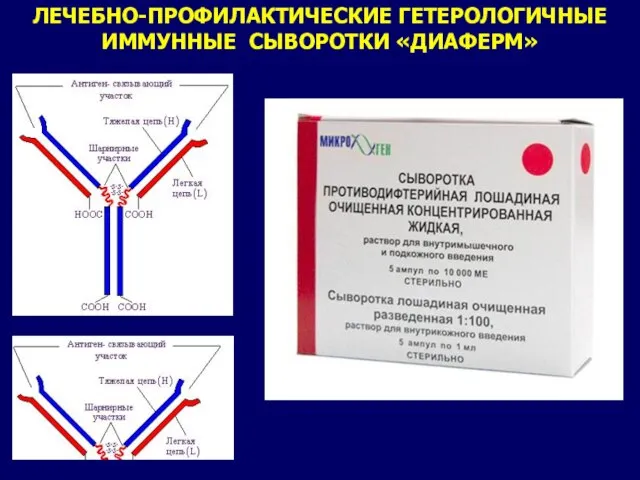 ЛЕЧЕБНО-ПРОФИЛАКТИЧЕСКИЕ ГЕТЕРОЛОГИЧНЫЕ ИММУННЫЕ СЫВОРОТКИ «ДИАФЕРМ»