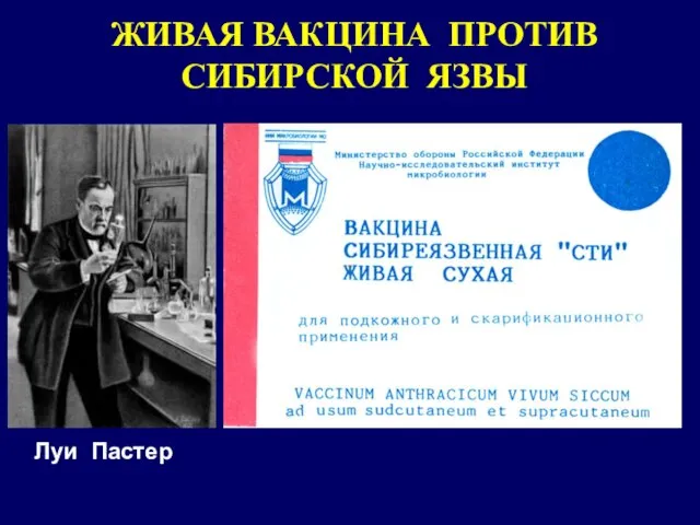 ЖИВАЯ ВАКЦИНА ПРОТИВ СИБИРСКОЙ ЯЗВЫ Луи Пастер