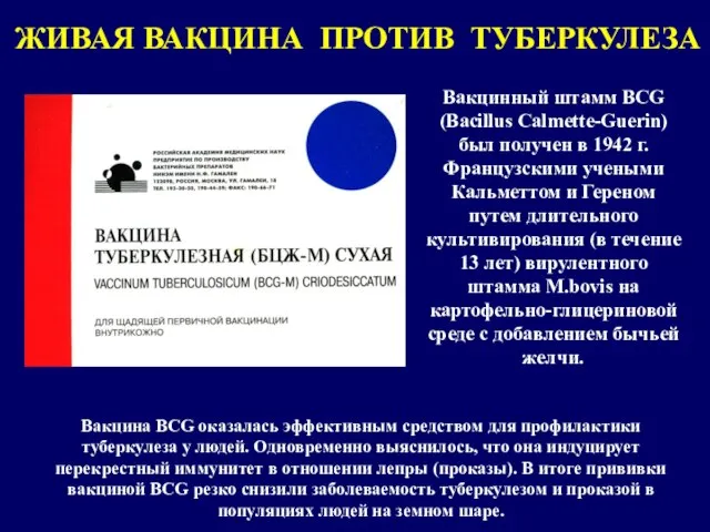 Вакцинный штамм BCG (Bacillus Calmette-Guerin) был получен в 1942 г. Французскими