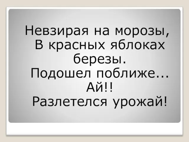 Невзирая на морозы, В красных яблоках березы. Подошел поближе... Ай!! Разлетелся урожай!