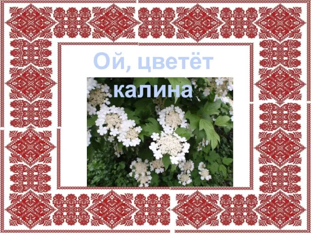 Ой, цветёт калина