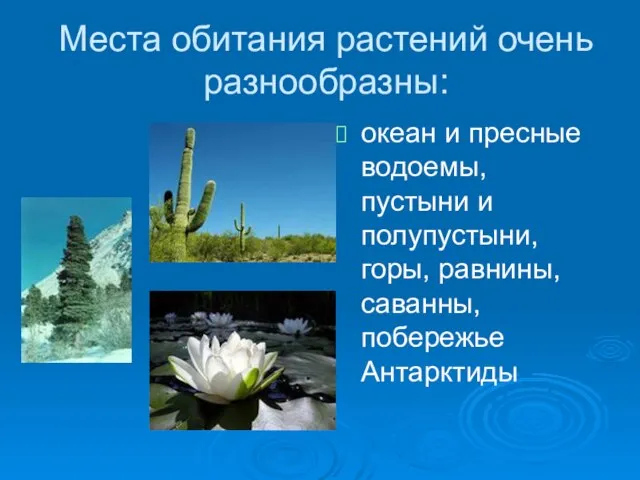 Места обитания растений очень разнообразны: океан и пресные водоемы, пустыни и